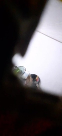 偷拍大神洗澡偷拍II学生宿舍寝室浴室70V精选集锦火热泄露 截图1