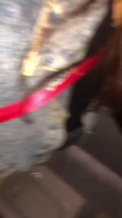 烈日下，在公共女厕所干这事儿挺刺激的，悄悄进去和骚妻干坏事, 截图5