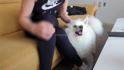模特身材美腿亚裔一线天粉穴健身婊「kgonly」OF大尺度性爱私拍 绿帽3P、按摩推油、狂野车震 截图3