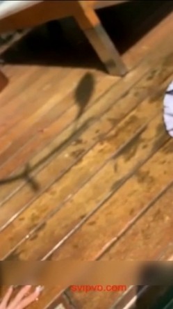 【网曝门事件】疑似前熊猫虎牙极品爆乳主播Lovely泳池打炮性爱私拍流出 无套插入 巨乳翘挺 高清720P完整版 截图14