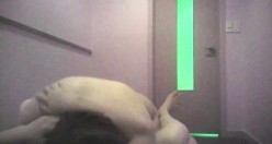 韩国小胖子再探按摩店 并叫了一个老相好的女技师，昏暗的灯光下激情肏逼 截图13