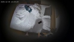 酒店偷拍 连续两天入住大学生情侣猴急男刚到房间就迫不及待扒开眼镜反差婊女友内裤研究 截图1