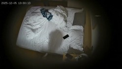 酒店偷拍 连续两天入住大学生情侣猴急男刚到房间就迫不及待扒开眼镜反差婊女友内裤研究 截图2