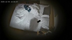 酒店偷拍 连续两天入住大学生情侣猴急男刚到房间就迫不及待扒开眼镜反差婊女友内裤研究 截图3