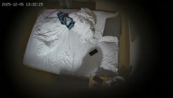酒店偷拍 连续两天入住大学生情侣猴急男刚到房间就迫不及待扒开眼镜反差婊女友内裤研究 截图5
