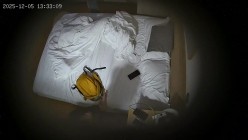 酒店偷拍 连续两天入住大学生情侣猴急男刚到房间就迫不及待扒开眼镜反差婊女友内裤研究 截图6