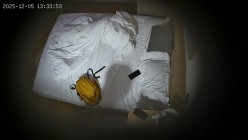 酒店偷拍 连续两天入住大学生情侣猴急男刚到房间就迫不及待扒开眼镜反差婊女友内裤研究 截图7