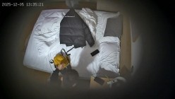 酒店偷拍 连续两天入住大学生情侣猴急男刚到房间就迫不及待扒开眼镜反差婊女友内裤研究 截图9