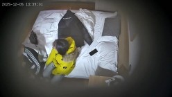 酒店偷拍 连续两天入住大学生情侣猴急男刚到房间就迫不及待扒开眼镜反差婊女友内裤研究 截图14