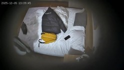酒店偷拍 连续两天入住大学生情侣猴急男刚到房间就迫不及待扒开眼镜反差婊女友内裤研究 截图15