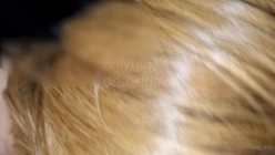 韩国绿帽淫妻骚母狗「ddu_ddu」OF私拍 钟爱3P和吞精 截图13