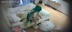 流出酒店偷拍 cos圈真乱两个角色扮演的小年轻在酒店乱搞 截图12