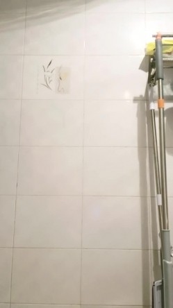 县城的极品小少妇，【小河弯弯】，户外尿尿~道具自慰~无套啪啪~内射口爆吞精 截图14