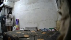 城中村房东出租屋偷装摄像头监控偷拍 3 两个合租房的站街女被各种嫖客操双视角其中一个较漂亮 截图16