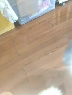 顶推重磅福利，大神高价自购海角万人追踪反差婊【胡九万（原小芳姐姐）】最全合集，性奴调教啪啪各种花样，秒懂下 截图1