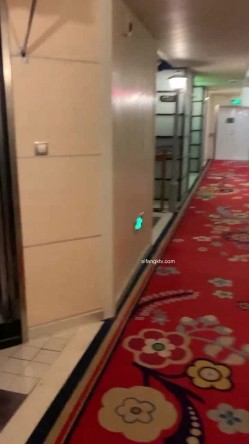 国产无码大神玩家约操高质量女神最强性爱私拍 浅蓝空乘厦航空姐反差高潮 截图2