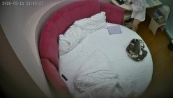 酒店偷拍 ️大学生情侣白衬衫清纯眼镜乖乖女被腿毛旺盛男友带酒店调教 截图1
