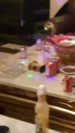 KTV里陪酒女的绝活 用逼开啤酒 截图14
