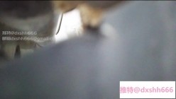 上海外国语大学女生偷拍她宿舍其它女生洗澡尿尿,意外拍到一个室友洗澡的时候在手淫 截图11