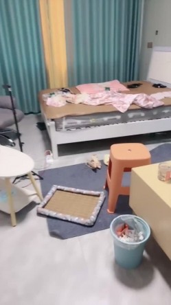 可爱虎牙短发学生妹【旺仔小乔】最新下海福利，早早辍学在家和小男友天天露脸做爱 截图4