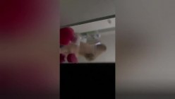 猥琐女偸拍同寝室姐妹洗澡换衣 男寝室激情后入女友同寝兄弟助力 偸拍邻居极品奶小媳妇多毛小姐姐洗澡 截图8