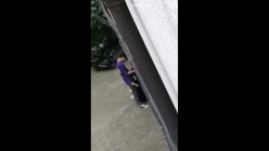 【网爆门事件】某大学大二学生墙角打野战,上演活春宫照 截图11
