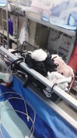 天然巨乳K罩杯美少女，两只大奶子赤裸在宿舍摇奶，和网友聊悄心话，想玩我的波波吗，我奶子砸你脸上 绝对甩晕啦,惊现QQ号！ 截图10