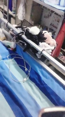 天然巨乳K罩杯美少女，两只大奶子赤裸在宿舍摇奶，和网友聊悄心话，想玩我的波波吗，我奶子砸你脸上 绝对甩晕啦,惊现QQ号！ 截图11