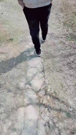 老板娘回归公园露出奶子和逼逼尿尿给狼友看，勾搭小哥户外激情啪啪，口交大鸡巴让小哥无套后入爆草抽插内射 截图7