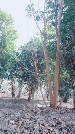 老板娘回归公园露出奶子和逼逼尿尿给狼友看，勾搭小哥户外激情啪啪，口交大鸡巴让小哥无套后入爆草抽插内射 截图13