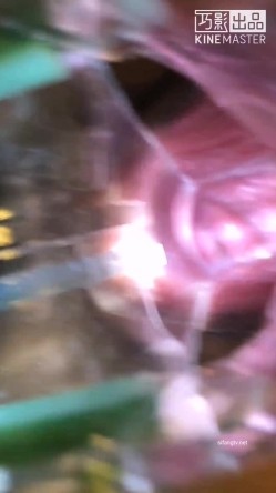 《字母圈牛逼大神极限调教 阴环骚母狗系列》变态扩张 看子宫灌肠注射灌膀胱疯狂虐阴1080P高清原版 截图1