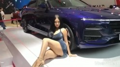 汽展上高颜值极品G奶超级车模 截图1