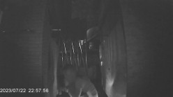 传说中的国产野外放尿神作 偷拍附近大牌档两个女食客尿尿戴眼镜的妹子咋看还以为是个男的 截图3