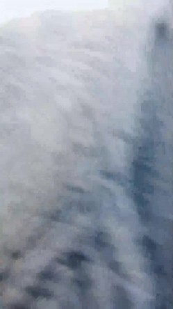 【露露姐】超骚御姐~美乳诱惑~户外跳蛋~车震无套啪啪 截图5