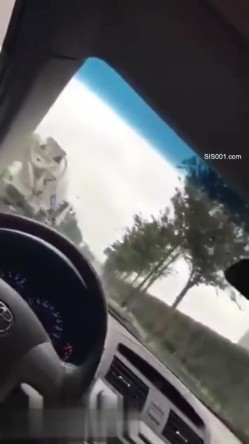 接甜美小情人下班说今天刺激点玩车震 男子有点犹豫 车多操操停停 老公又催回家真的刺激 截图11