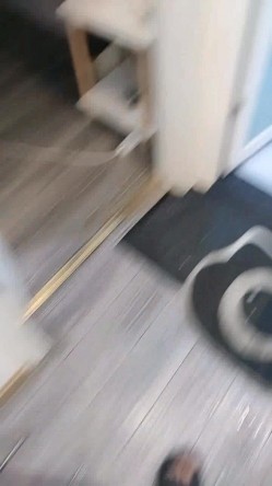 大鸡巴撑爆妹子的小嘴，全程露脸深喉口交，各种姿势抓着骚奶子爆草她，浪叫不止表情好骚啊，差点给她干哭了 截图15