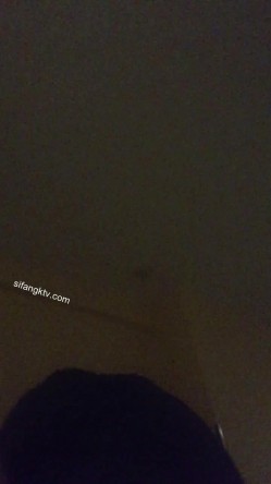 精品良家泄密流出合集，贵在真实，天南海北，各色良家夫妻，大学生情侣 截图7
