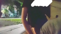 【SM调教】泄欲用母狗「C犬」户外露出！车流旁边经过，母狗嘴含口球，夹子夹屄和阴蒂，被大黑妞子爆插菊花 截图3