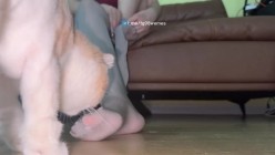 微密圈VIP资源珍藏 前凸后翘水蛇腰S型身材高颜值小姐姐各种丝袜cos诱惑你喜欢哪一款 截图4