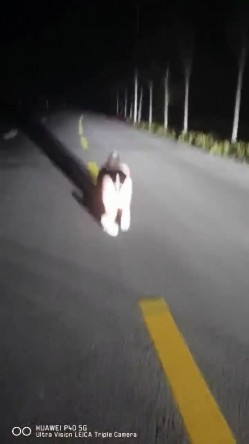 【极品流出 ️恋爱性陷阱】圈养调教大学母狗『二月』无下限性开发实录 完美曝光真实还原母狗成长变化 截图11