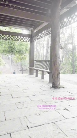 清纯美少女福利姬【崽崽】私人重金露脸定制，人来人往公园全裸塞跳蛋跳绳极限挑战 截图8