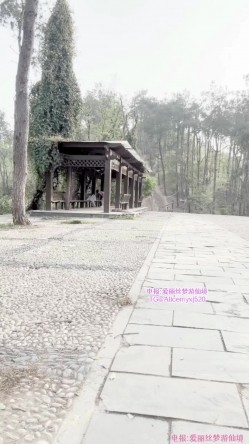 清纯美少女福利姬【崽崽】私人重金露脸定制，人来人往公园全裸塞跳蛋跳绳极限挑战 截图15