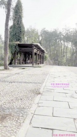 清纯美少女福利姬【崽崽】私人重金露脸定制，人来人往公园全裸塞跳蛋跳绳极限挑战 截图16