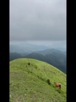【极品土豪玩物】苗条身材长腿A4腰女神-济南95后『小野猫』骚货闺蜜抖音风变装户外露出 高清私拍95P 高清1440P版 截图5