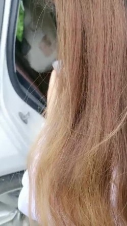 野狼出击带女徒弟户外车震，全程露脸大奶子小骚逼舔的淫水直流，口交大鸡巴在车上各种抽插爆草浪荡呻吟刺激 截图7