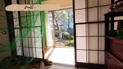 MUDR-335 截图1