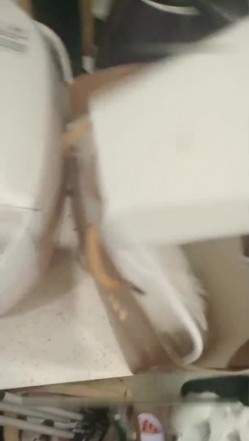 甜美可爱的骚气瑶瑶小妖精 女上位使劲地摇呀摇 还用跳蛋塞到了自己的菊花里做爱 最后还被内射到粉粉的小穴里 截图13