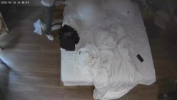 酒店偷拍女友专心玩手机我蹲后面玩她的下体被她口爆 截图15