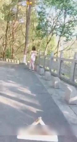 网红月儿演绎小美女爬山被色狼尾随跟踪强干呻吟刺激 截图1