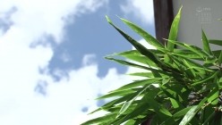 HMN-564 夫が田舎に左遷されて何もかもが変わってしまって…パートを始めた人妻と男子学生が不倫中出し性交に燃え上がった日々 藤森里穂 截图16